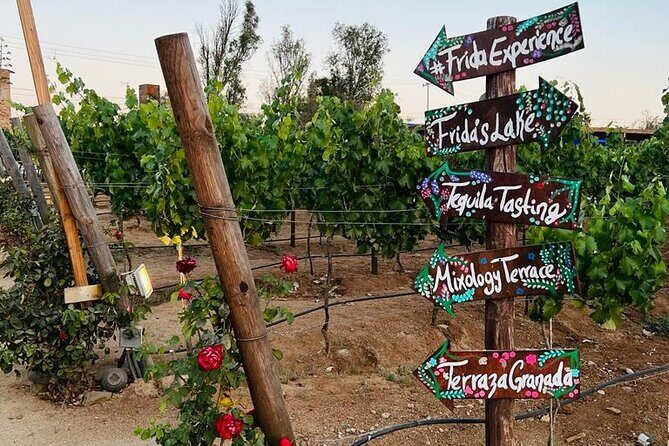 Full Day Tour on the Wine Route, Valle de Guadalupe - FAQs