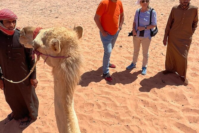 Full Day Tour Petra and Wadi Rum From Amman - Adventure in Wadi Rum
