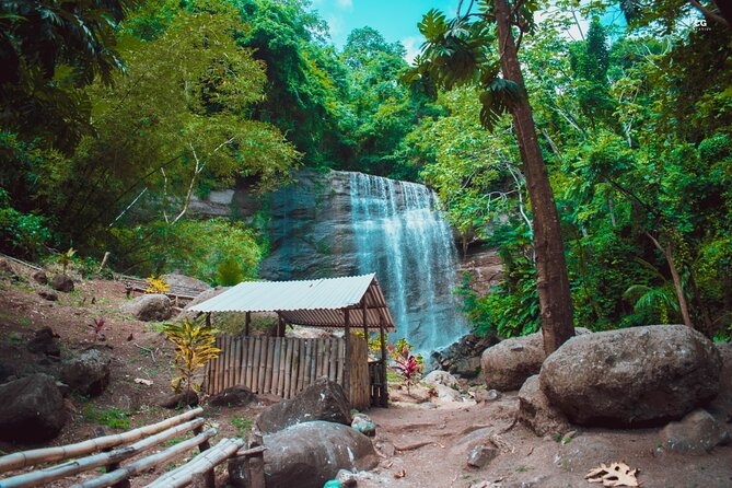 Full Day Tour - Popular Sites Grenada, Belmont Estate, Rain Forest and More - Customer Reviews