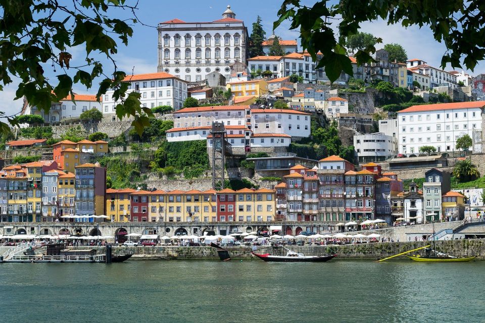 Full Day Tour Private Porto - Professional Guide Services