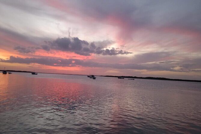 Full Day Tour Río Lagartos with Pickup from Mérida 7 AM - Exploring Río Lagartos and Las Coloradas: A Full Day Adventure from Mérida
