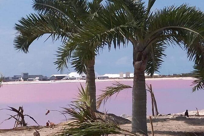 Full Day Tour Río Lagartos with Pickup from Mérida 7 AM - Who Should Consider This Tour?