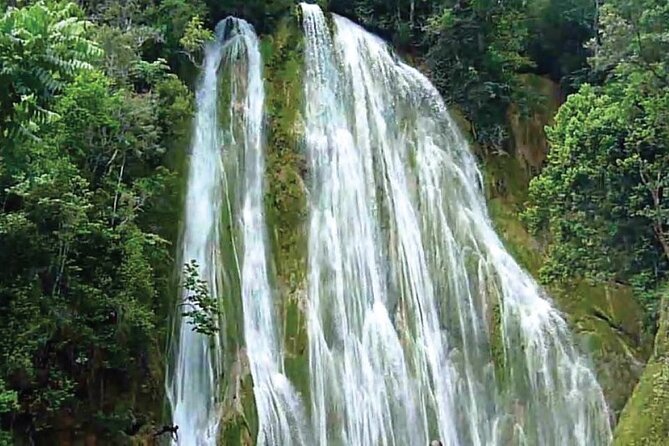 Full Day Tour Samana, Las Terrenas and El Limón From Santo Domingo - Infant Seating