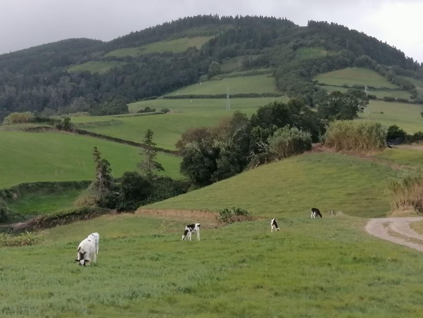 Full Day Tour Sete Cidades and Lagoa Do Fogo €75 - Pricing