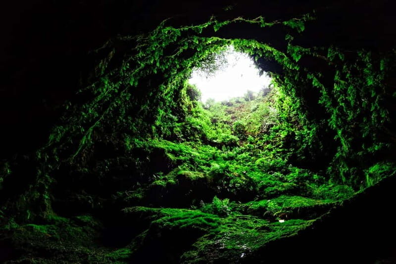 Full-day tour: The best of Terceira Island - FAQs