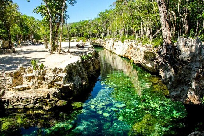 Full Day Tour to 5 Magical Cenotes in the Riviera Maya - An In-Depth Look at the Riviera Maya Cenote Tour
