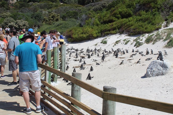 Full-Day Tour to Cape Point and Cape of Good Hope - Pricing Information