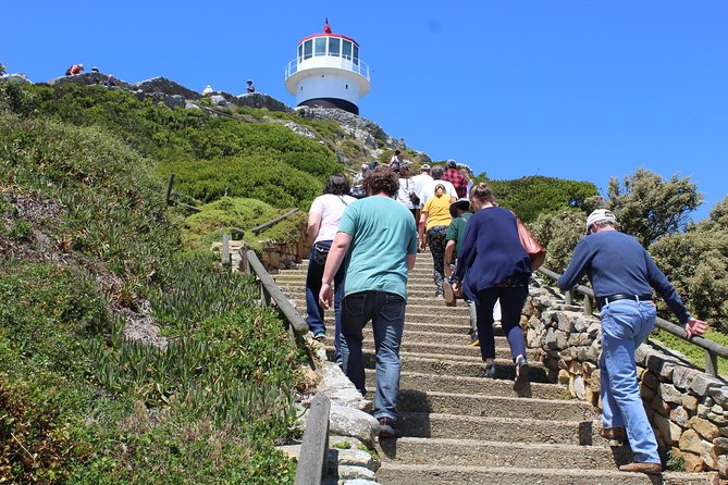 Full-Day Tour to Cape Point and Cape of Good Hope - Travel Tips