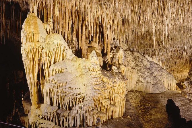 Full Day Tour to Caves of Drach and Hams With Porto Cristo and Pearl Factory - Customer Reviews and Feedback