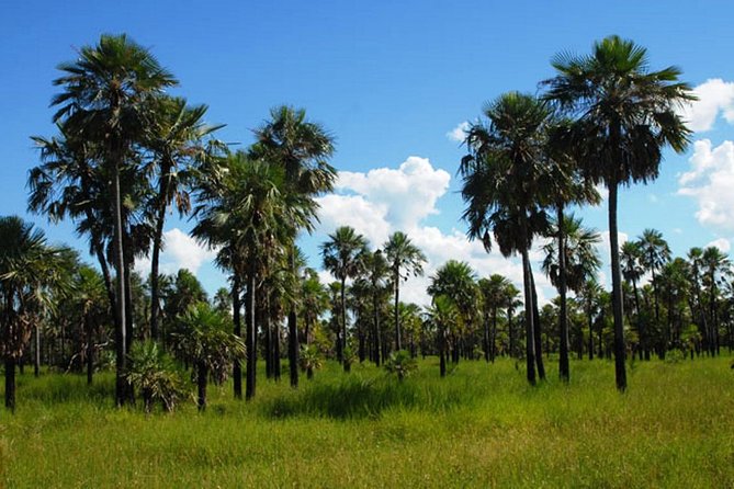 Full-Day Tour to Chaco From Asunción - About Your Stay