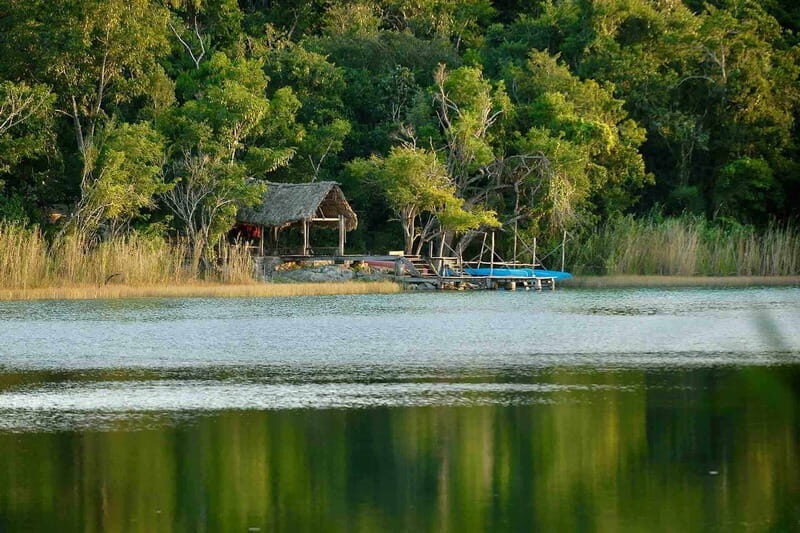 Full Day Tour to Cobá Ruins, Punta Laguna & Cenote - Final Thoughts