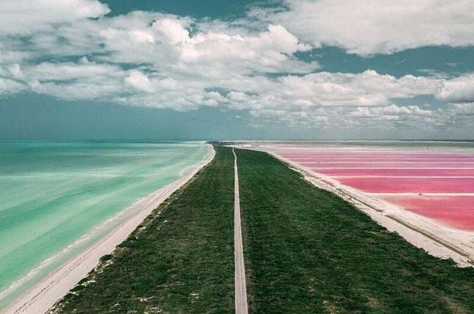 Full Day Tour to Coloradas & Rio Lagartos - The Sum Up