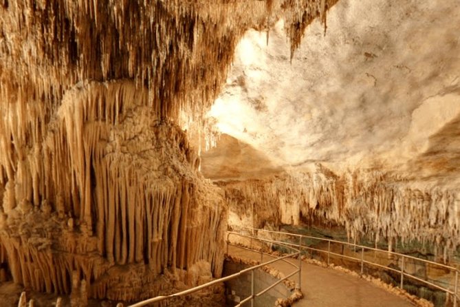 Full-day Tour to Drach Caves and Portocristo Town - Explore the Drach Caves