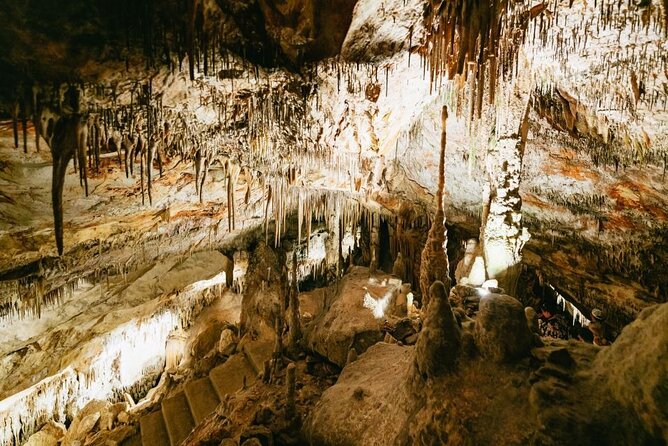 Full-day Tour to Drach Caves and Portocristo Town - Discover Portocristo Town