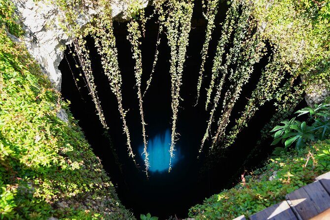 Full day tour to Ek Balam Ruins, Valladolid and Sacred Cenote - The Sum Up