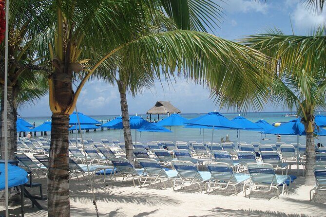 Full day tour to El Cielo in Cozumel Snorkeling and Lunch - Practical Tips for Participants