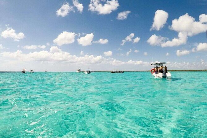 Full day tour to El Cielo in Cozumel Snorkeling and Lunch - The Sum Up