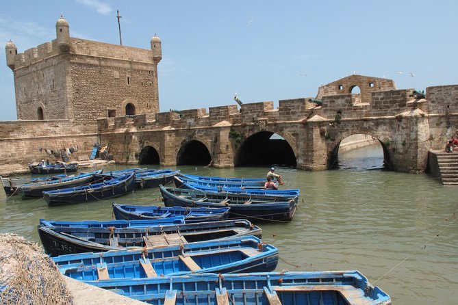 Full-Day Tour to Essaouira - the Ancient Mogador City From Marrakech - Traveler Reviews and Insights