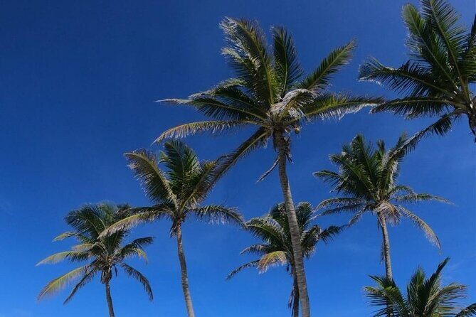 Full Day Tour to Isla Contoy and Isla Mujeres from Cancun - Experience Overview: What’s in Store