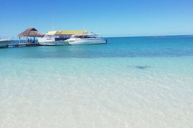 Full Day Tour to Isla Contoy and Isla Mujeres from Cancun - Things to Consider