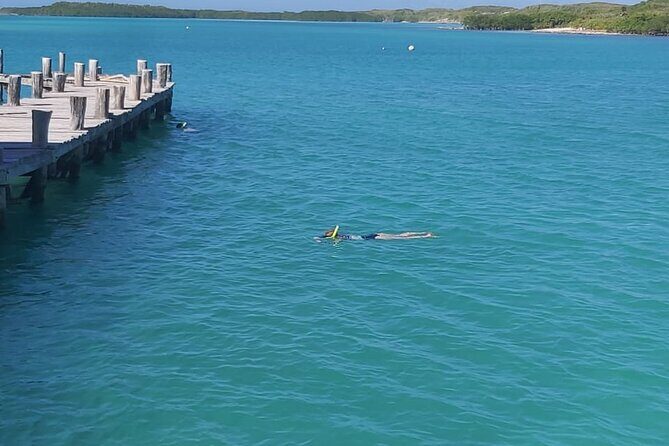 Full Day Tour to Isla Contoy and Isla Mujeres from Cancun - Final Thoughts