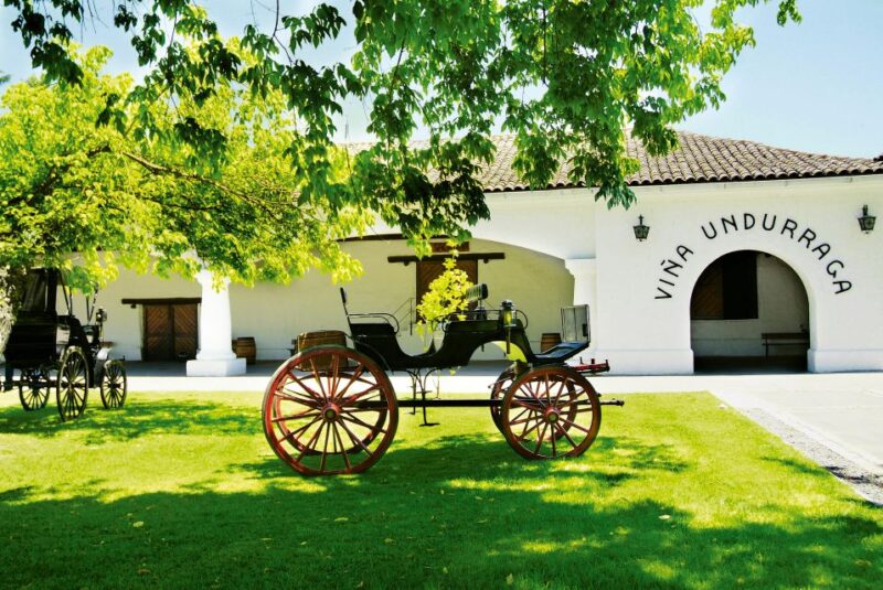 Full-Day Tour to Isla Negra, Algarrobo & Undurraga Winery - Discovering Isla Negra