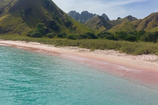 Full Day Tour to Komodo Island by Speed Boat to Explore 6 Destinations - Booking and Confirmation
