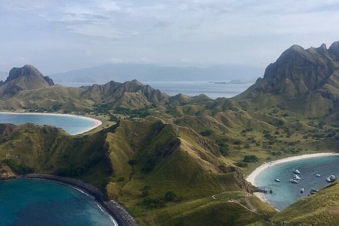 Full Day Tour to Komodo Island by Speed Boat to Explore 6 Destinations - Important Considerations