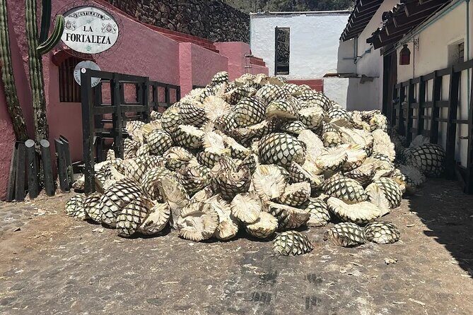 Full-Day Tour to La Fortaleza Distillery and Cantaritos - Key Points