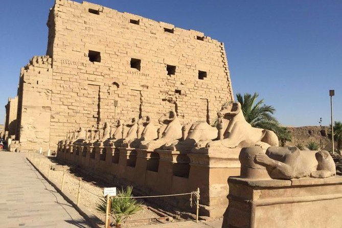 Full Day Tour to Luxor From Airport - Pricing Details
