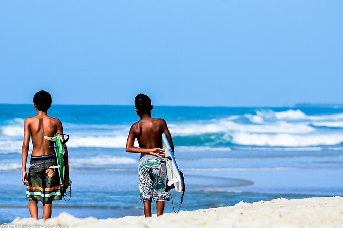Full Day Tour to Maceió and Praia Do Francês - What to Expect