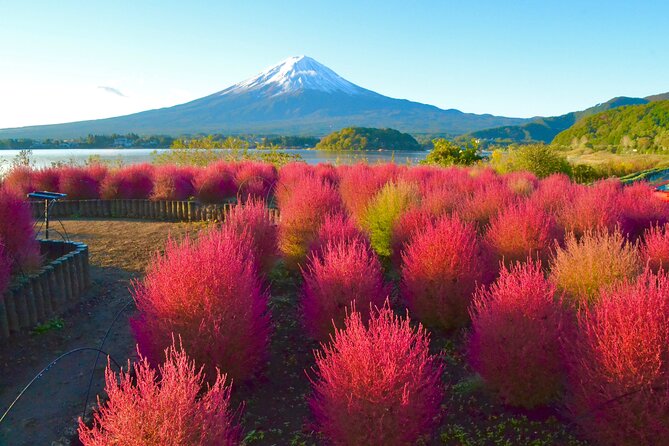 Full Day Tour to Mount Fuji in English - Tour Highlights