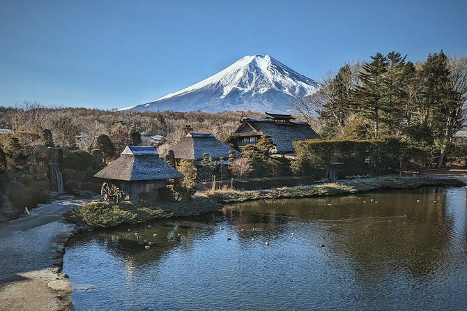 Full Day Tour to Mount Fuji With Guide in Spanish - Highlights of the Tour