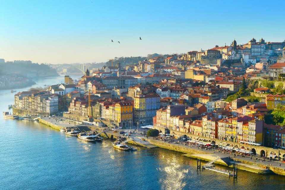 Full-Day Tour to Porto From Santiago De Compostela - Highlights of the Excursion