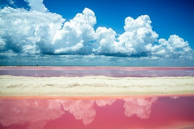 Full day tour to Rio Lagartos and Las Coloradas from Riviera Maya - Exploring the Natural Beauty of Rio Lagartos and Las Coloradas — A Full-Day Tour from Riviera Maya