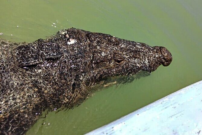 Full day tour to Rio Lagartos and Las Coloradas from Riviera Maya - Final Thoughts