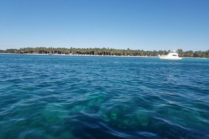 Full Day Tour to Saona Island by Catamaran and Speedboat - Practical Tips for Your Day