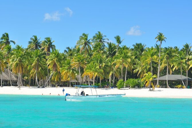 Full Day Tour to Saona Island by Catamaran and Speedboat - Cancellation Policy