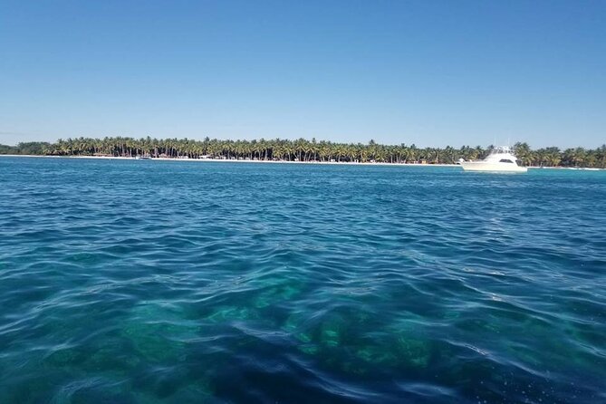 Full Day Tour to Saona Island by Catamaran and Speedboat - Additional Information