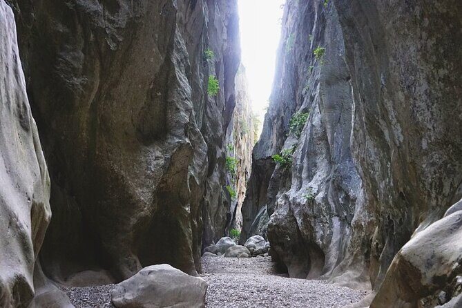 Full Day Tour to the Island of Mallorca - Final Thoughts: Is This Tour for You?