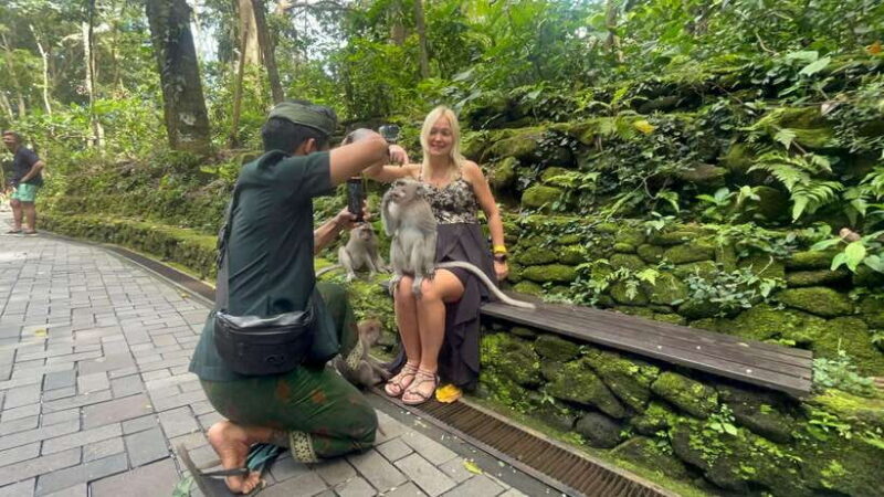 Full Day Tour To Ubud Included Ticket - Who Will Appreciate This Tour?