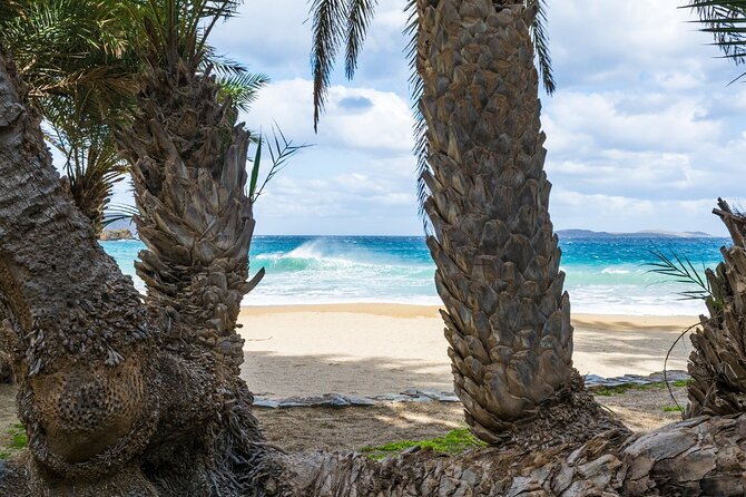 Full-Day Tour to Vai Palm Beach, Toplou Monastery, and Sitia Town - Tour Highlights