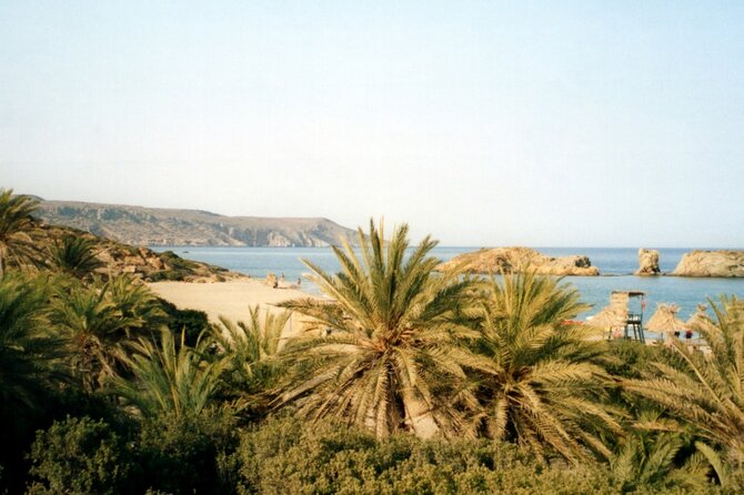 Full-Day Tour to Vai Palm Beach, Toplou Monastery, and Sitia Town - Ratings and Reviews
