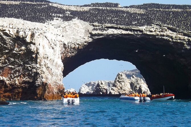 Full Day Tour to Visit Ballestas Islands and Paracas Reserve - Daily Itinerary