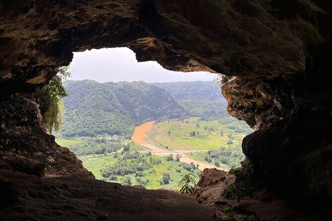 Full Day Tour Window Cave and Hiking on the Beach - Final Thoughts: Who Is This Tour Best For?  