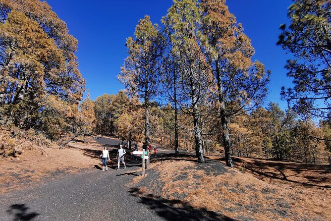 Full Day Tour with Hiking to the Tajogaite Volcano - A Detailed Look at the Tour Experience