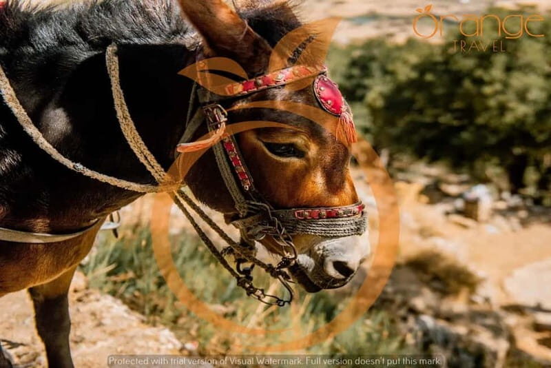 Full-Day Tour:Lasithi Plateau -Mythology Park&Knossos Palace - A Complete Look at Crete’s Cultural and Natural Treasures