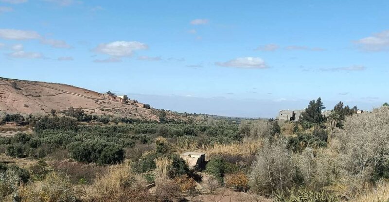 Full Day Trip From Marrakech To 3 Valleys & Berber Villages - Itinerary Highlights