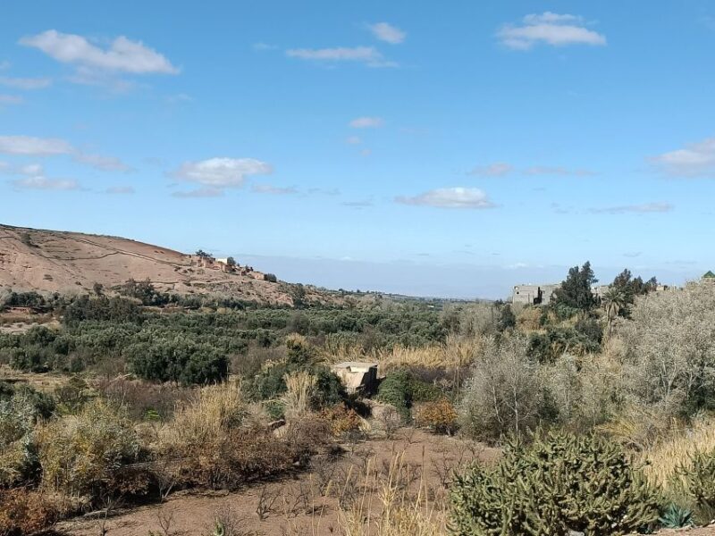 Full Day Trip From Marrakech To 3 Valleys & Berber Villages - Meals and Refreshments