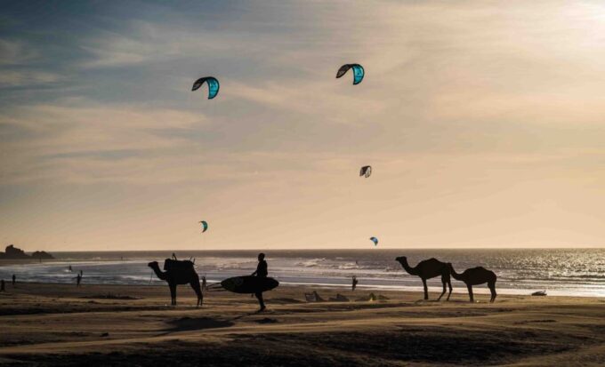 Full Day Trip From Marrakech To Essaouira - Inclusions, Exclusions, and Pricing